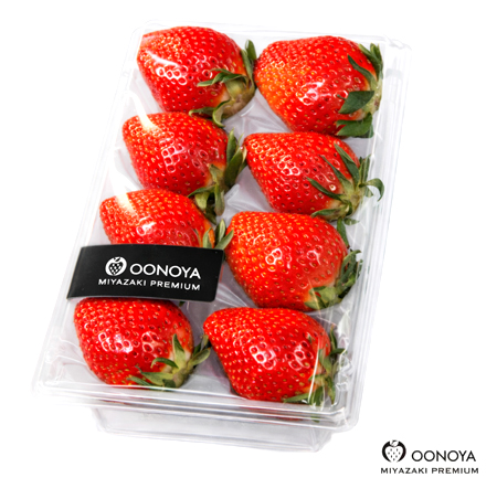 ご家庭用 8粒パック やよいひめ 3Lサイズ